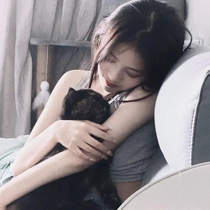 你是骗子我是贼