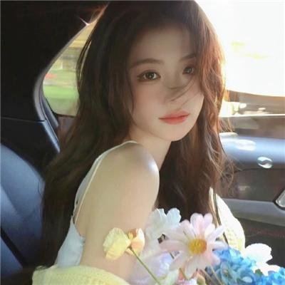 大明悬案录之隐翅篇